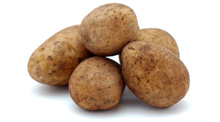Kartoffeln Belana festkochend
