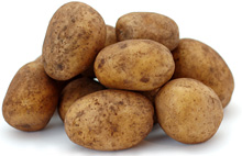 Kartoffeln Gunda mehligkochend