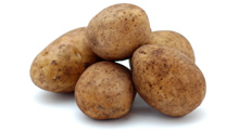Kartoffeln Gunda mehligkochend