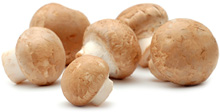Champignons