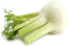 Fenchel