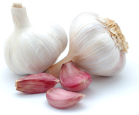 Knoblauch