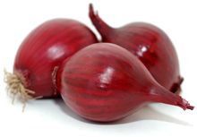 Zwiebeln rot