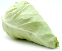 Spitzkohl
