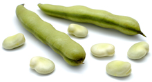 Dicke Bohnen
